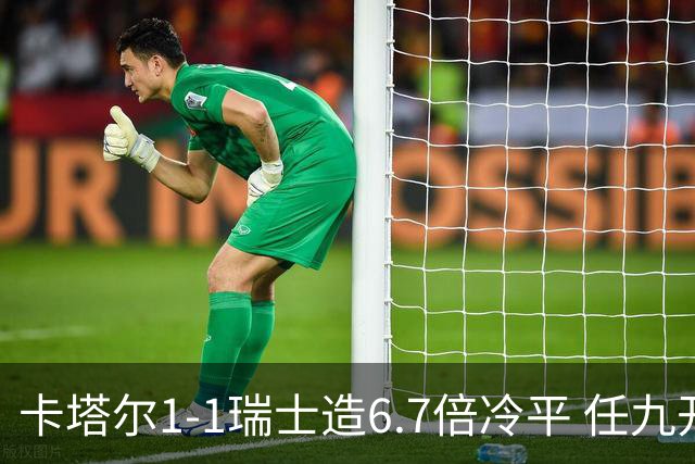 卡塔尔1-1瑞士造6.7倍冷平 任九开53注25.3万元